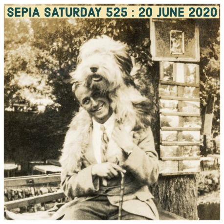Unknown Man With A Large Dog On His Head (Sepia Saturday 525)